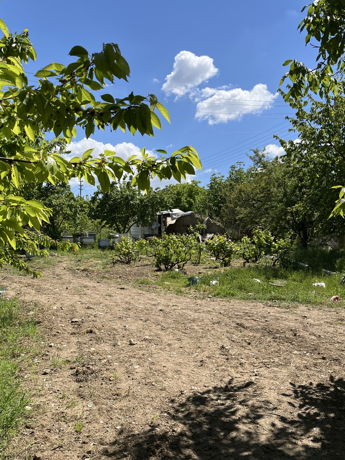 Ev 3+1 fotoğraf 4