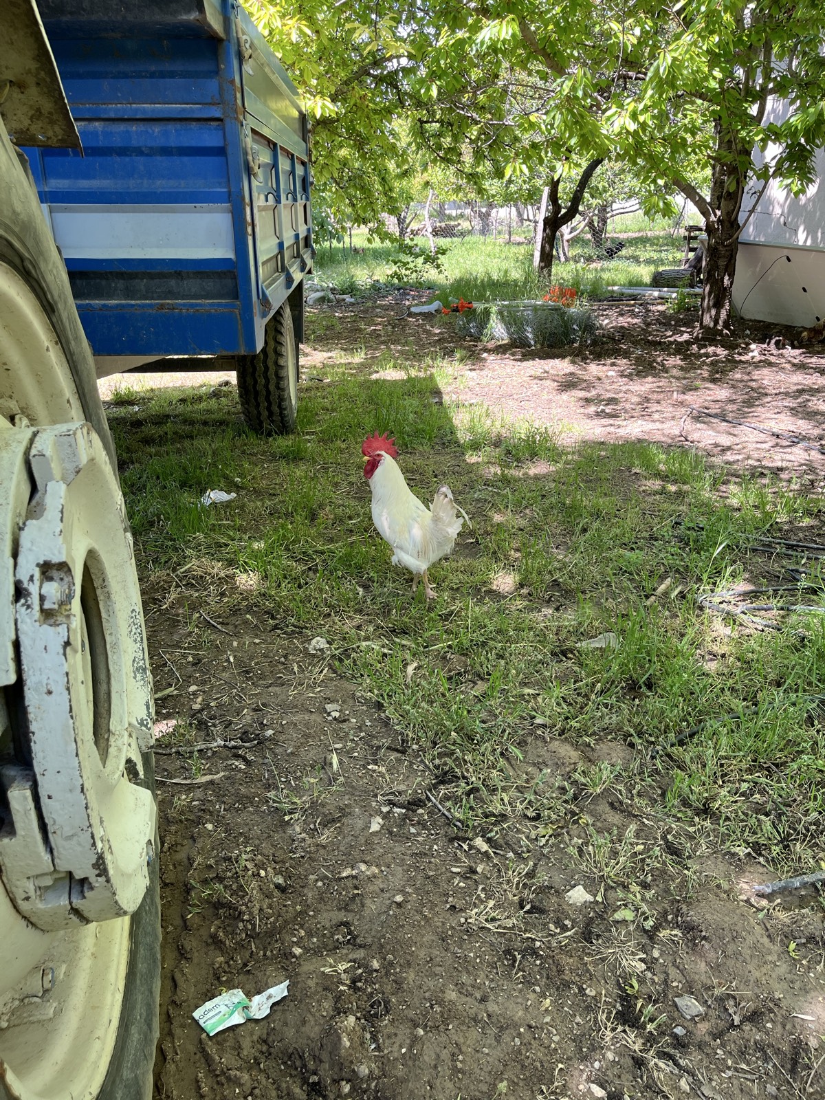 Ev 3+1 fotoğraf 7