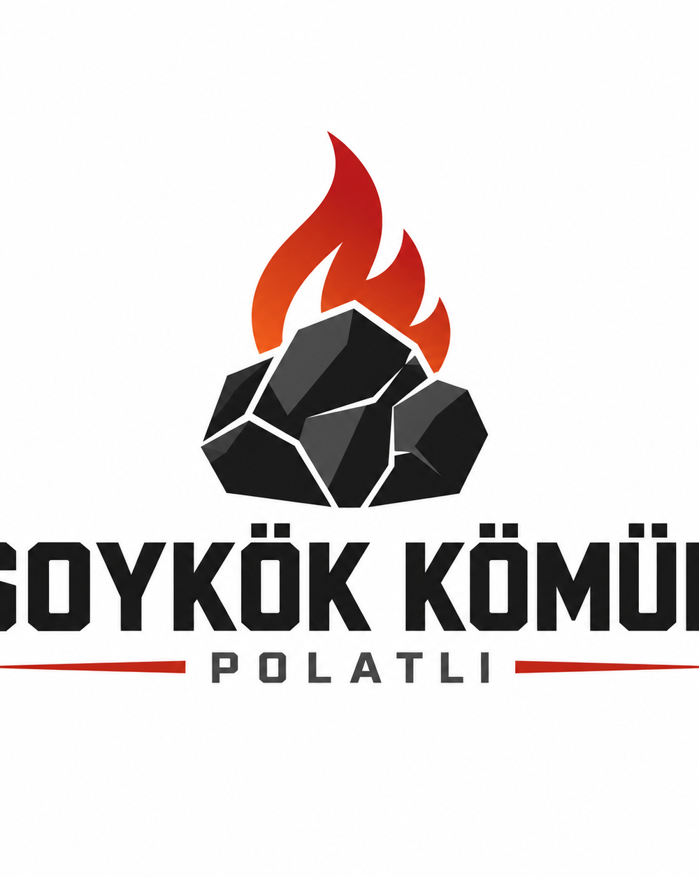 Soykök Kömür