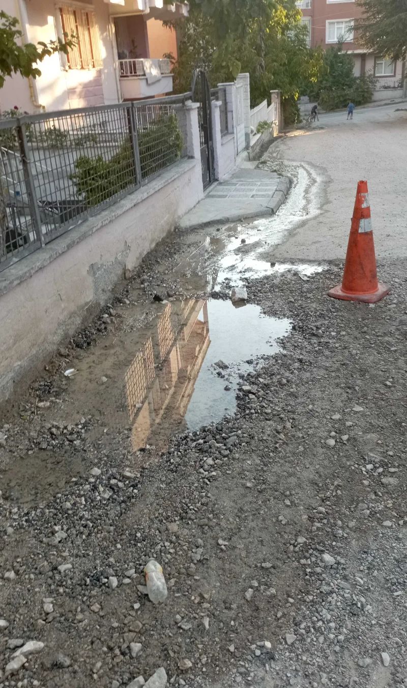 Şehitlik, kavaklı sokak. İki gündür yerden çıkan su yola akı…